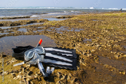 Snorkeling gear lying on the coral reef