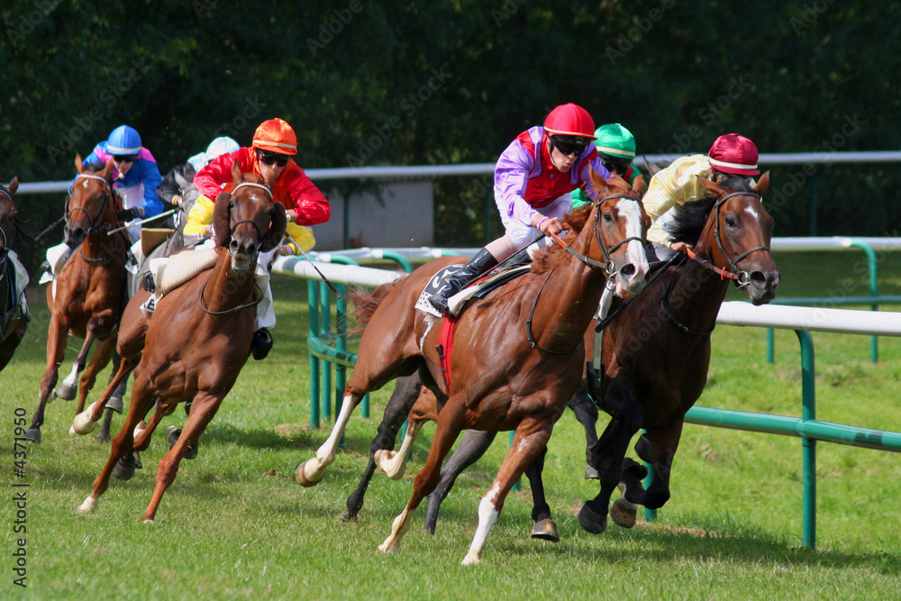 La grande course 17 La grande course 17