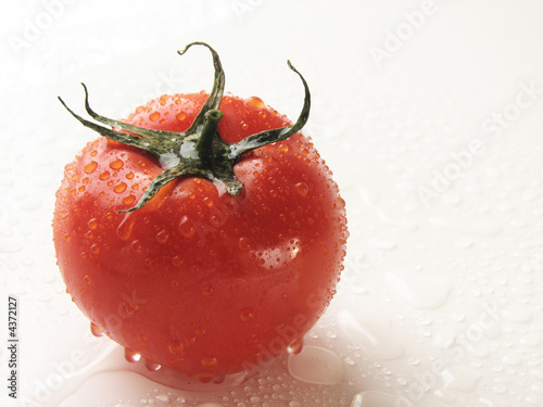 Red tomato on white whith drops of water