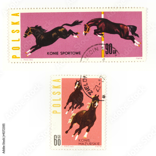 Horses on collectible stamps photo