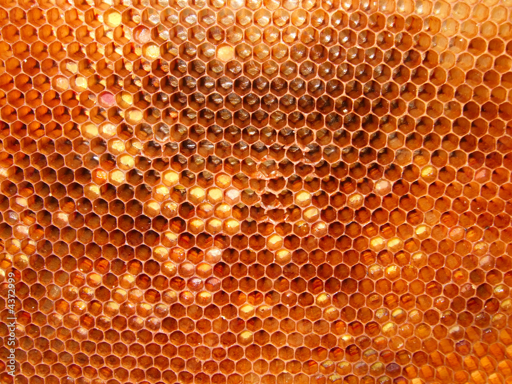 honeycomb honeycomb