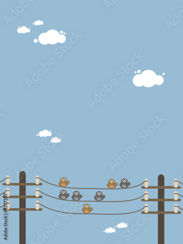 birds on a wire
