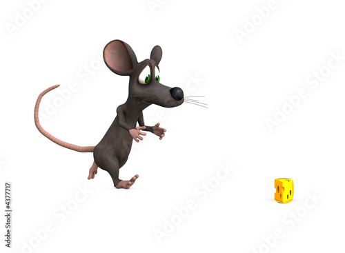 mouse chase