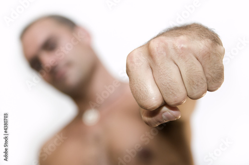 Quadro em tela Fist