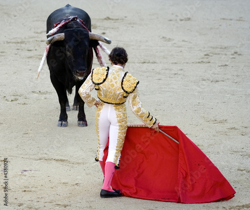 Bullfight 2