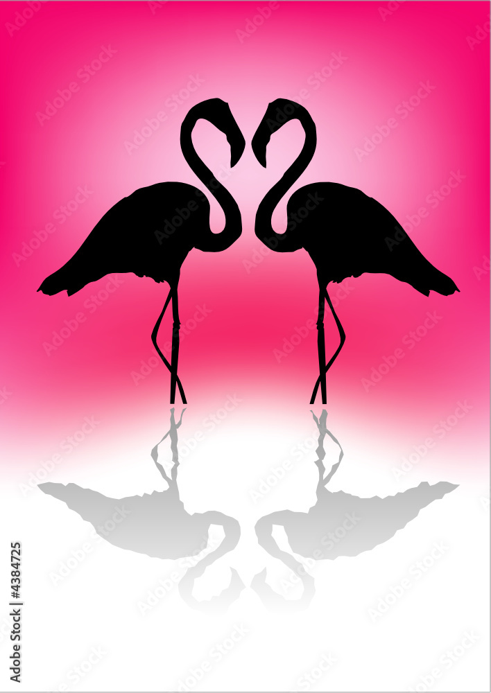 Coeur de flamants