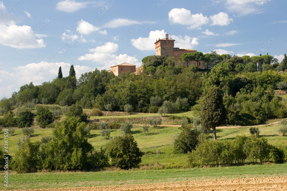 montepulciano typical estate