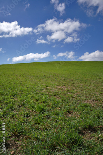 prairie et ciel