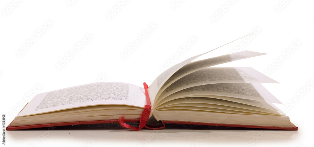 Fototapeta premium Books
