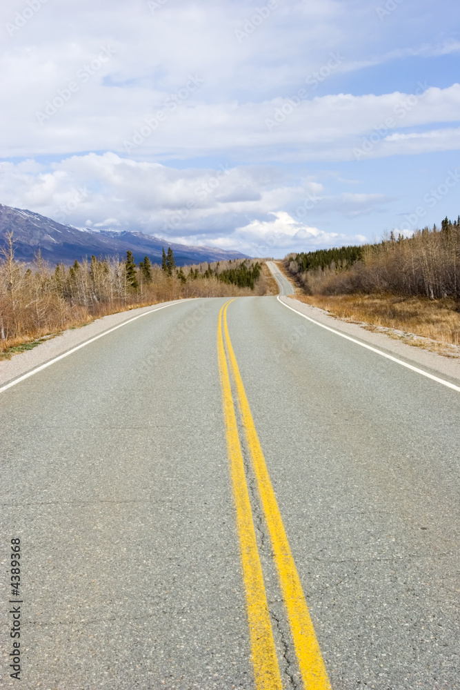 Highway through Alaska