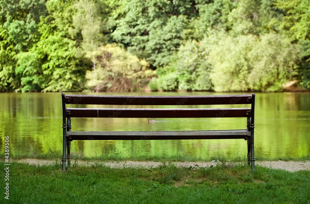 Lonely bench near the lake