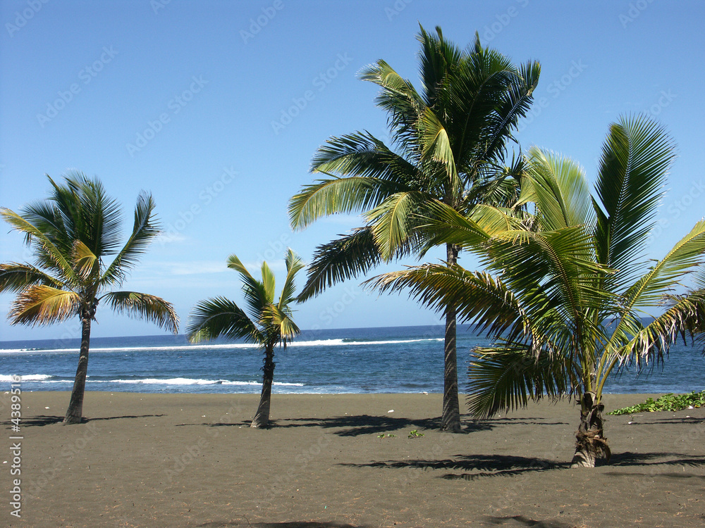 plage tropicale...sable noir et cocotiers