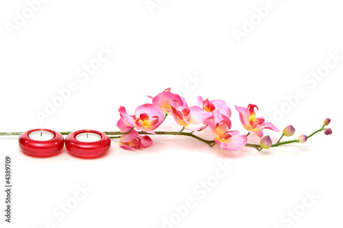 canvas print motiv - MAXFX : Spa candles and orchid