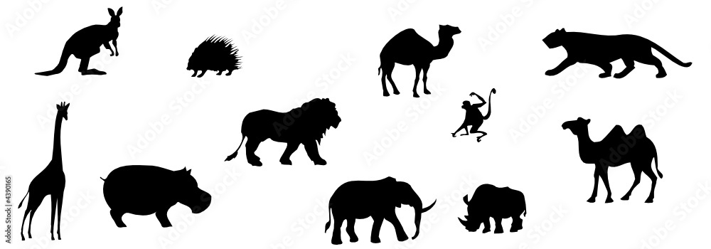 Naklejka premium Dschungeltiere