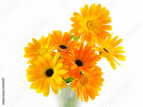 Bouquet de soucis / calendula