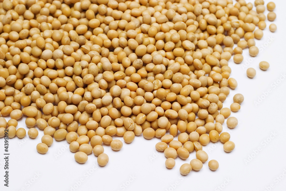 Soy bean Soy bean