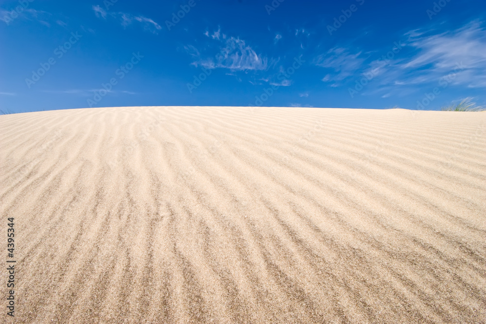 Naklejka premium grooves on dune