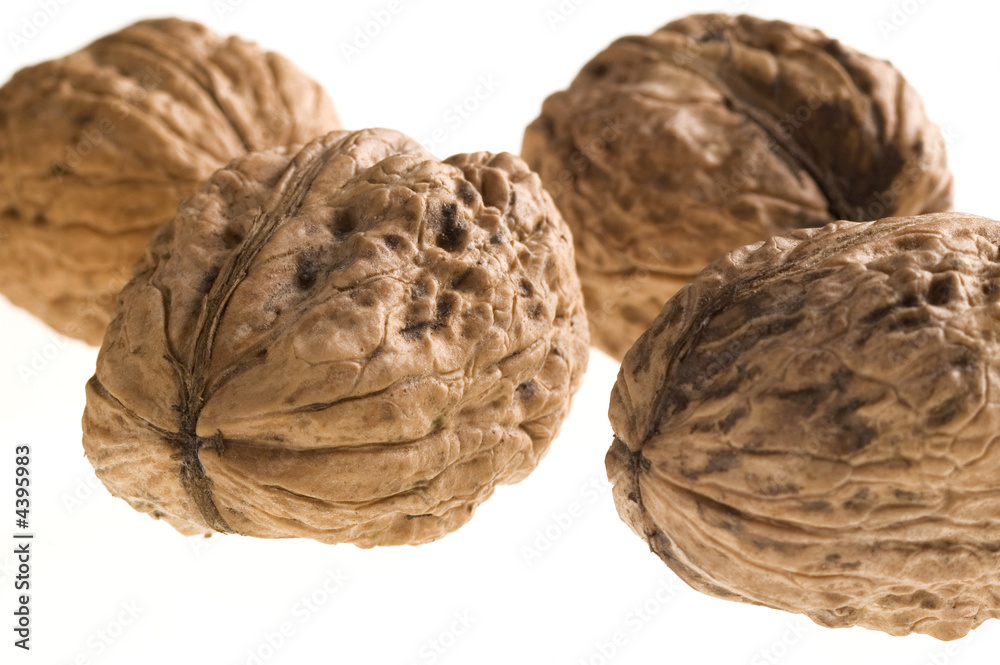 walnuts walnuts