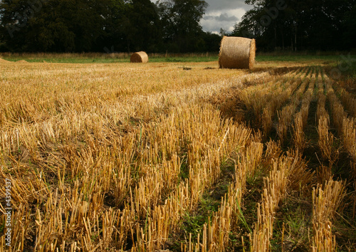 Bales 6
