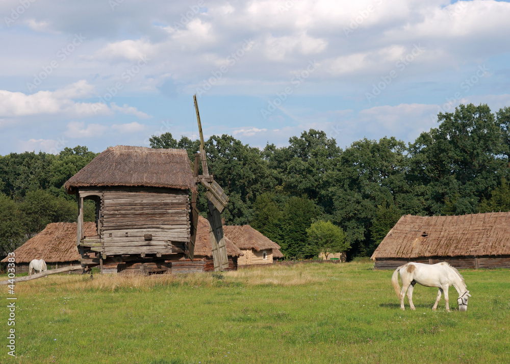 Obraz premium windmill and horses