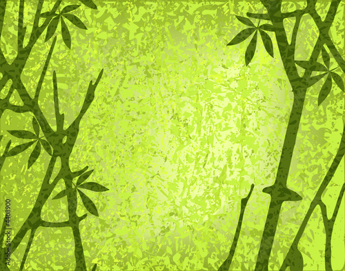 Moss forest