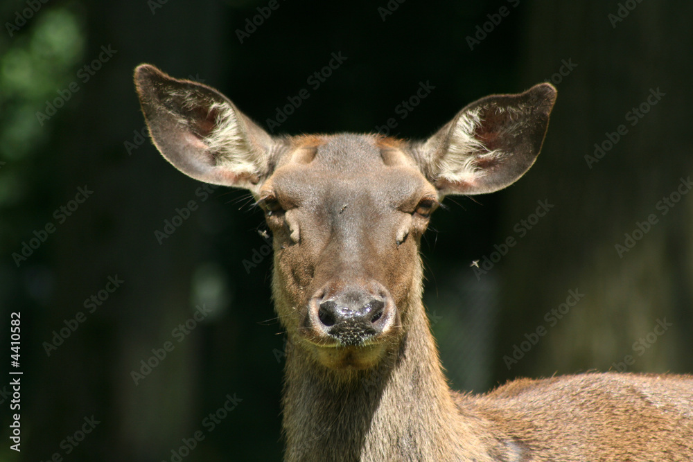 Fototapeta premium na und....?