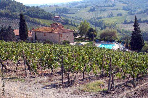 Wineyard in Toscana
