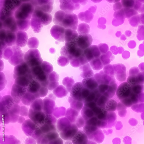 Bacteria via microscope