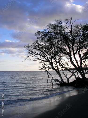 dusk on the beach - la haina, maui photo