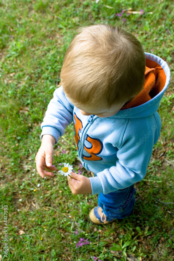 Toddler holding a daisy