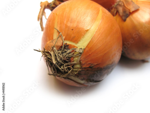 Photographie onion on white background