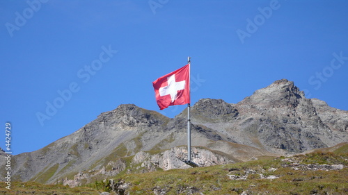 schweizer flagge mit bergen