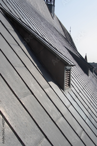 Photography Contemporary roof of the ancient building