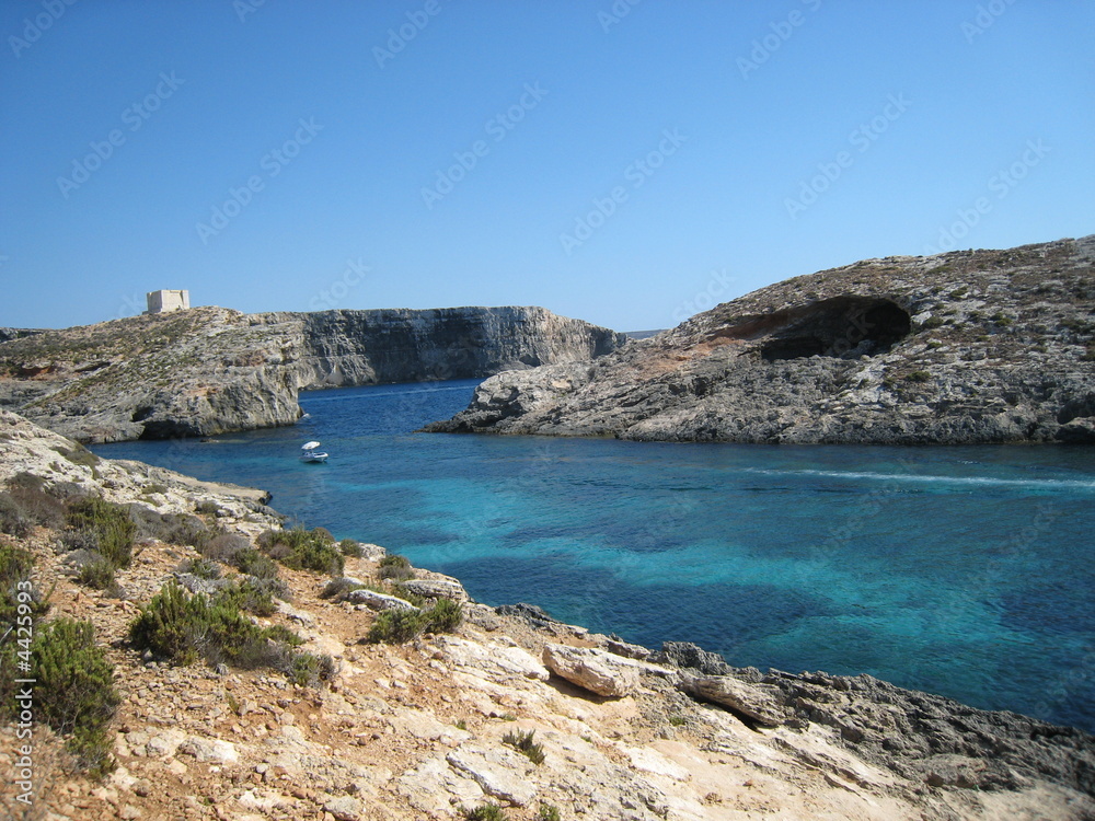 comino comino