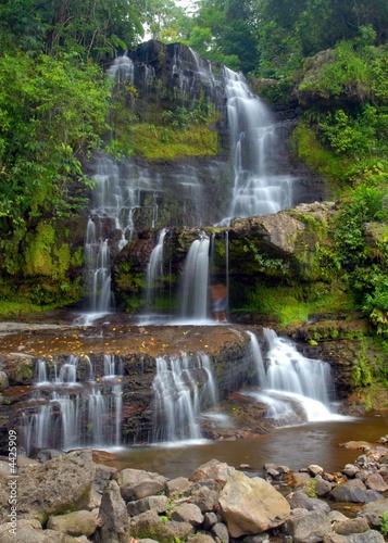 Big waterfall through dense forest