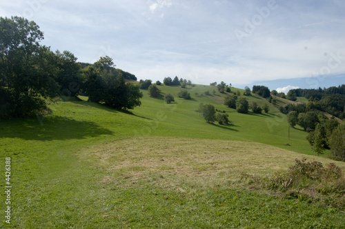 Alpages en été