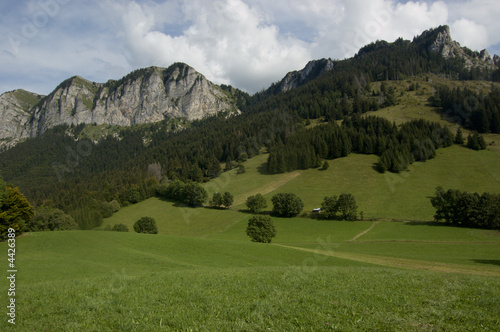 L'été en montagne
