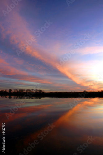 Butterfly Sunset © Terrance Emerson