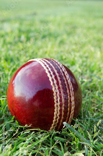 Cricket ball on green grass.