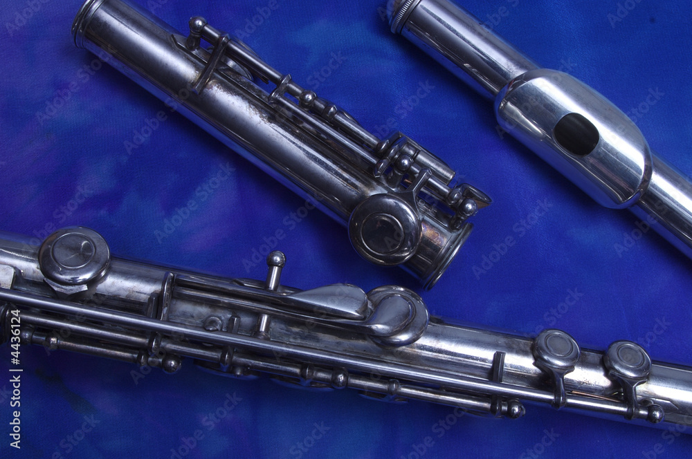 Naklejka premium Three parts of a flute, secondary keys, moonlight tone