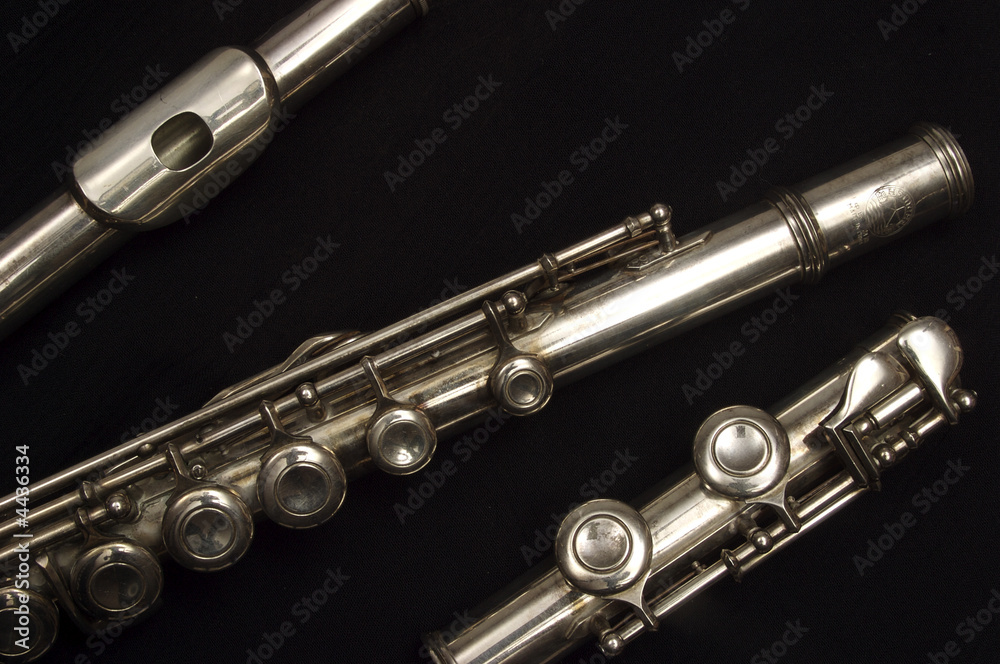 Naklejka premium Three parts of a flute, rectangular layout back and front keys