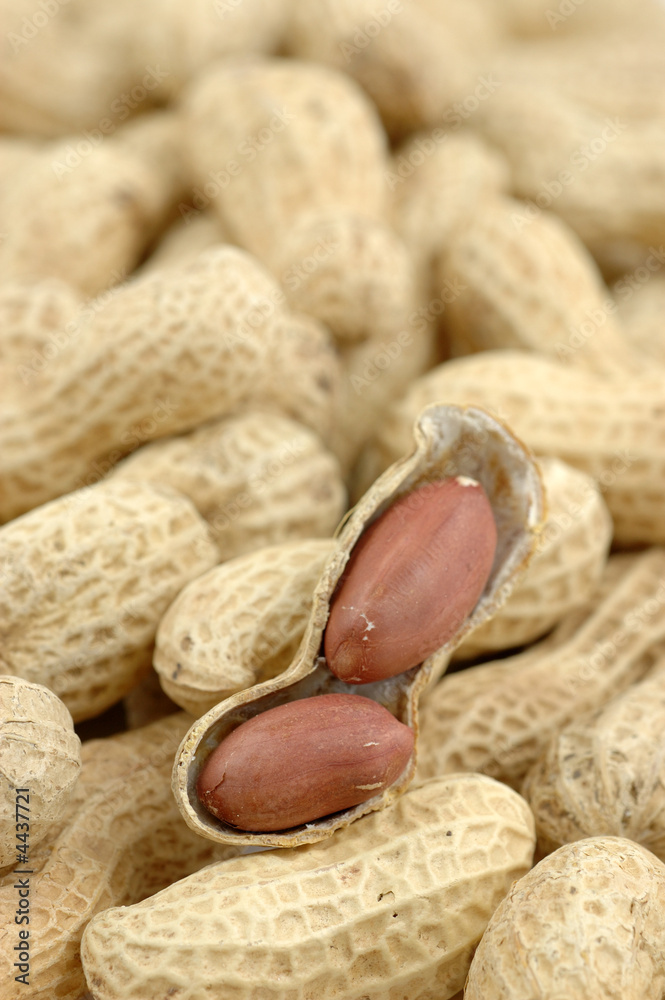 Close up of peanuts