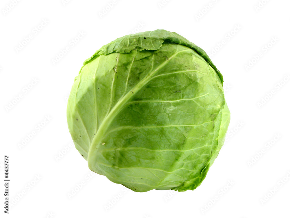 cabbage cabbage