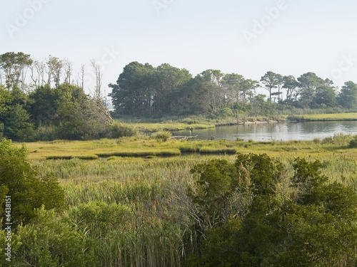 Maryland Wetlands