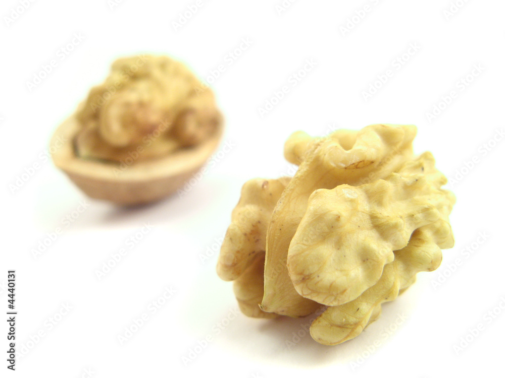 walnut walnut