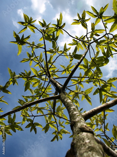Reaching the Sky