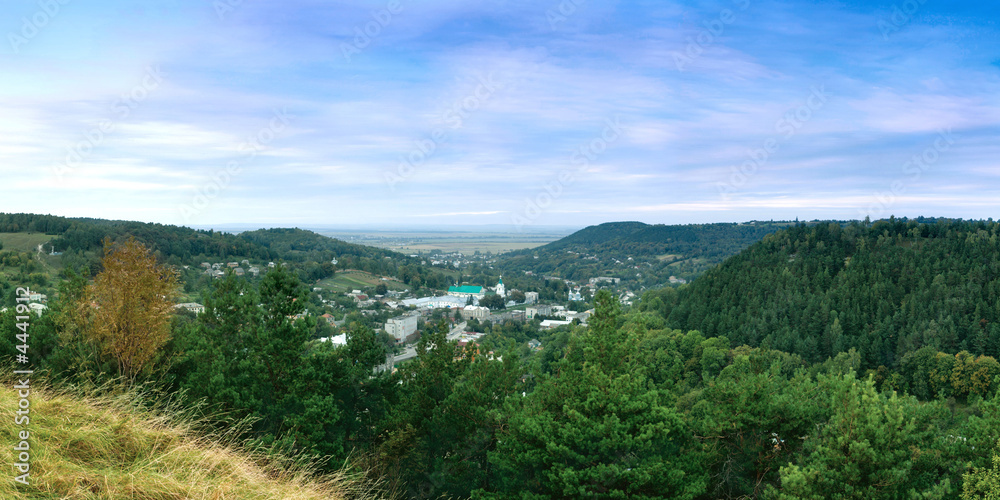 Fototapeta premium Town in wood