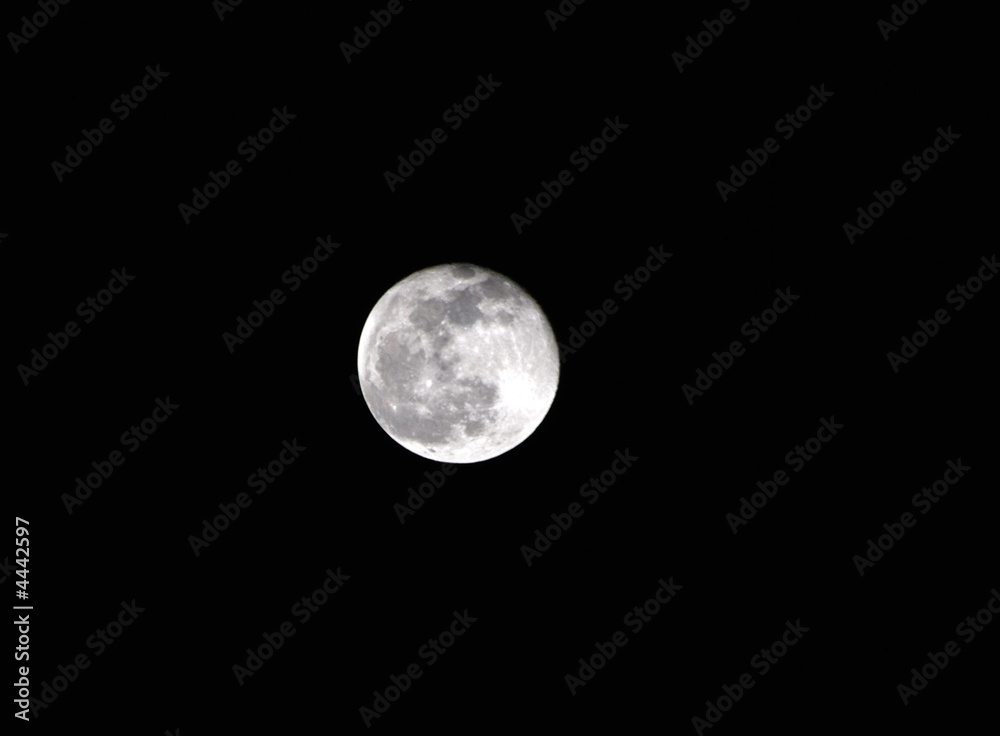 Obraz premium full moon in the skies