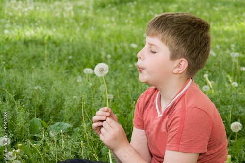 boy with dandelion