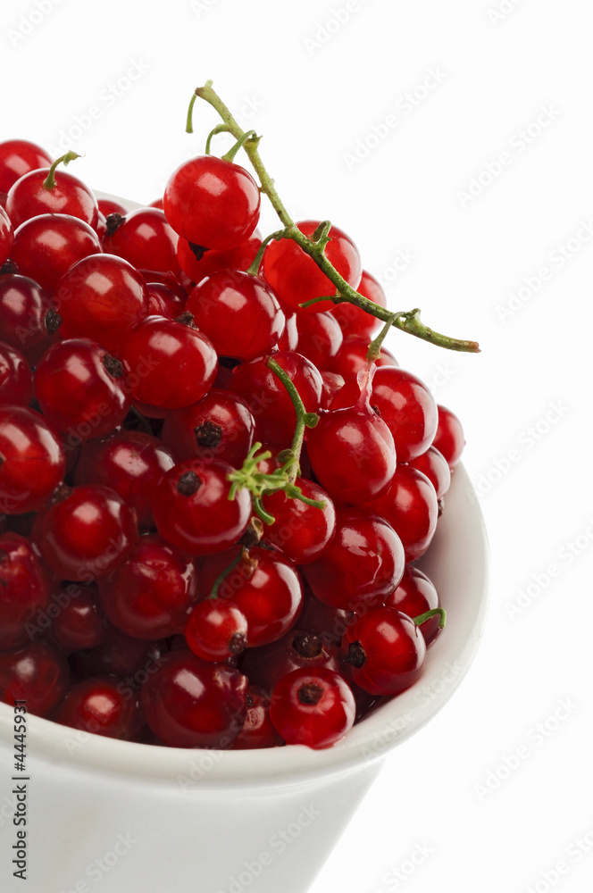 currant currant